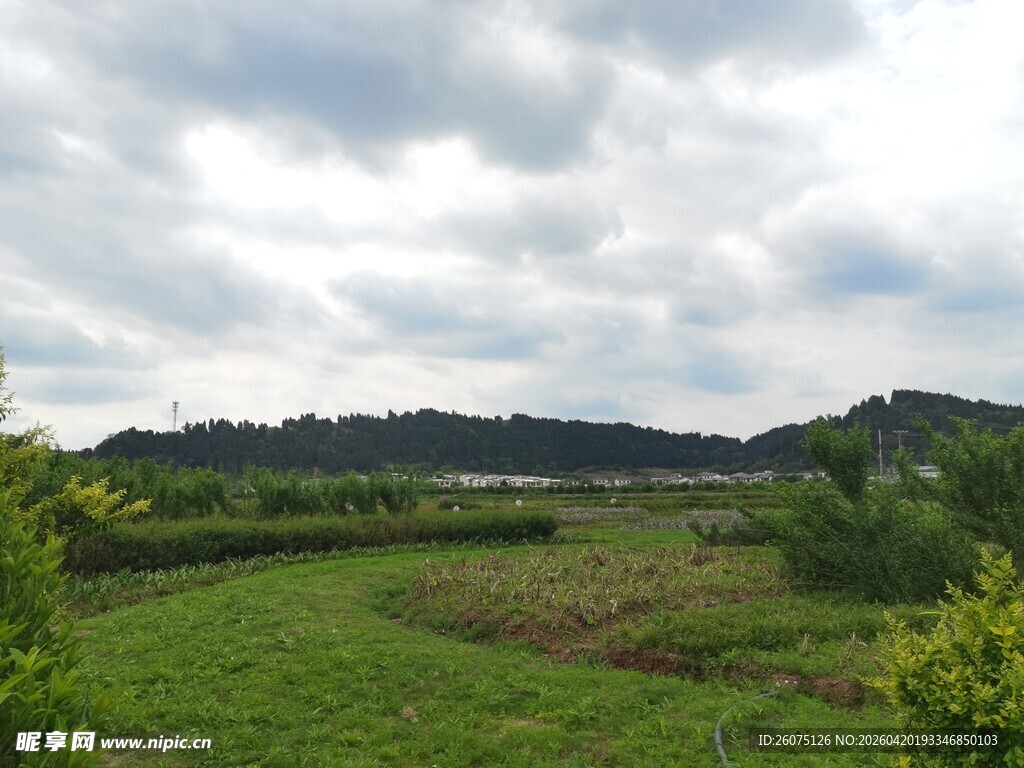 田园风光绿意盎然的景致