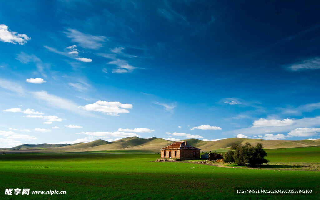 田园风光中的宁静小屋