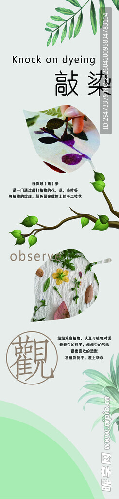 卡通风格植物插画