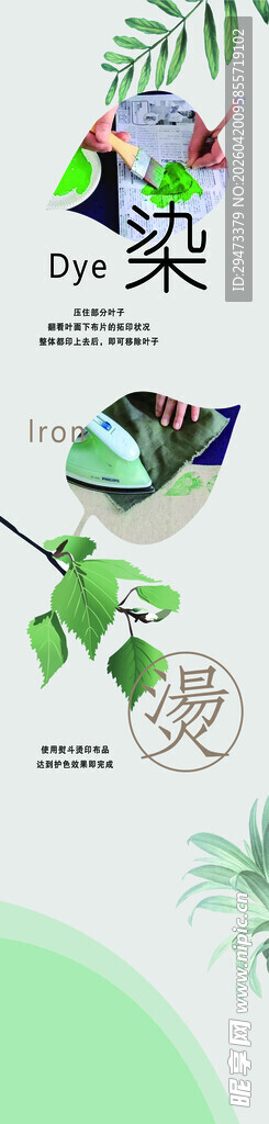 多彩植物插画展示