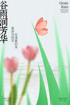 春日郁金香谷雨节气海报