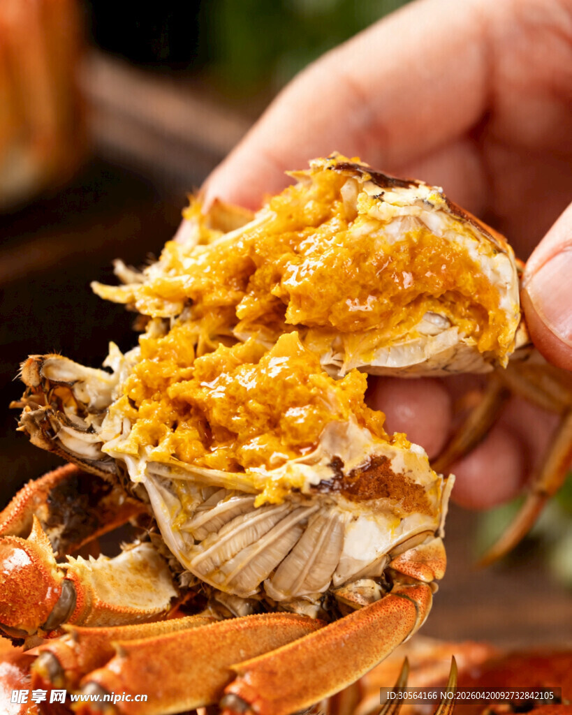 掰开的美味大闸蟹