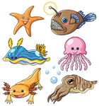 卡通海洋生物