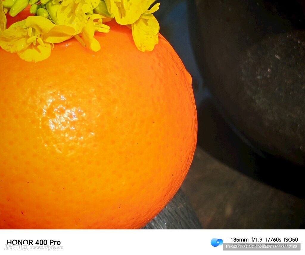 橙果配黄花的清新画面