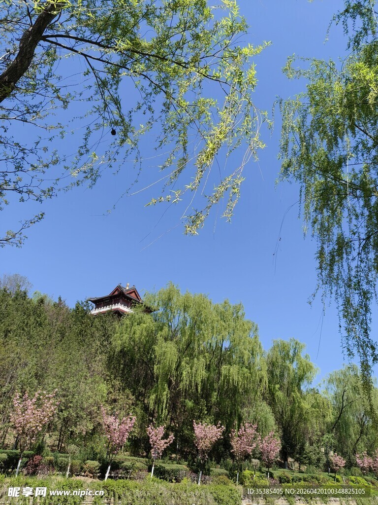 公园亭子美景