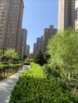 小区绿植小径美景