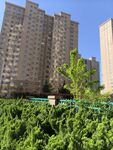 小区高楼绿植美景