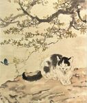猫咪赏蝶图