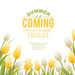 夏日将至开启旅行之旅