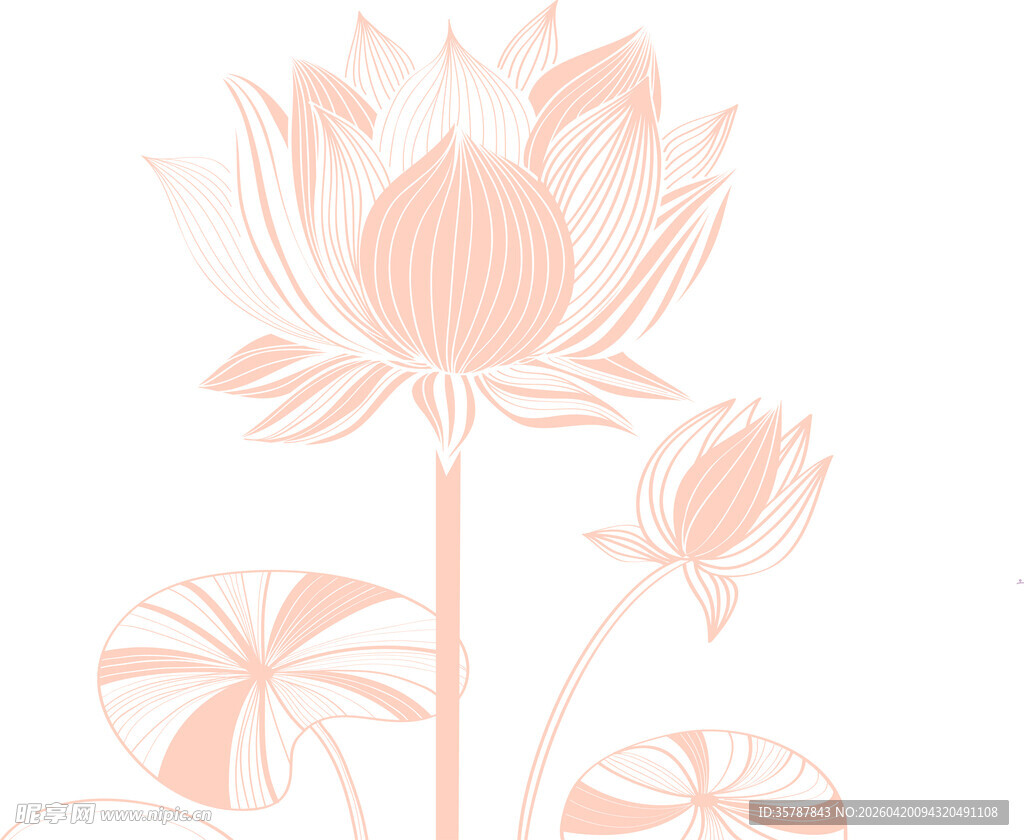 粉色莲花图案