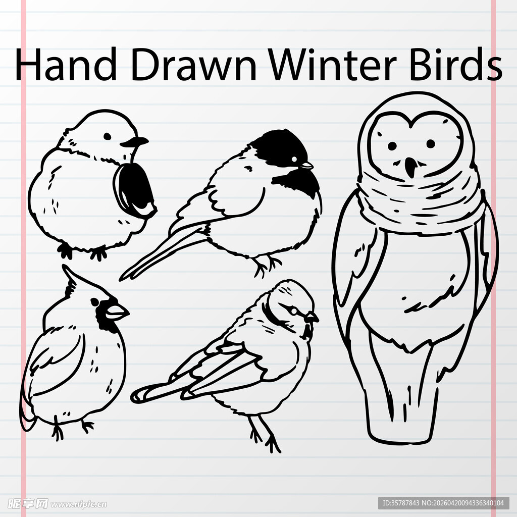 手绘冬季鸟类简笔画