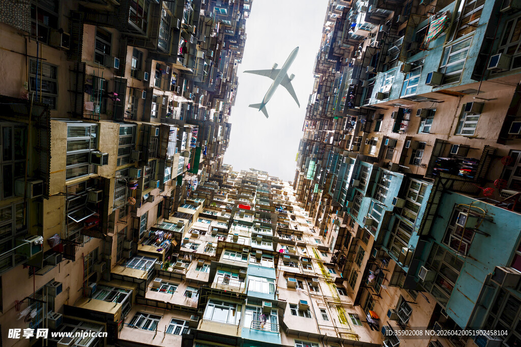 密集书架间的书籍世界