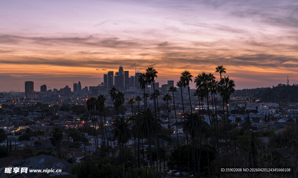 黄昏下的城市与棕榈树景观