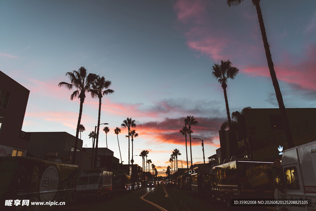 夕阳下的街道与棕榈树