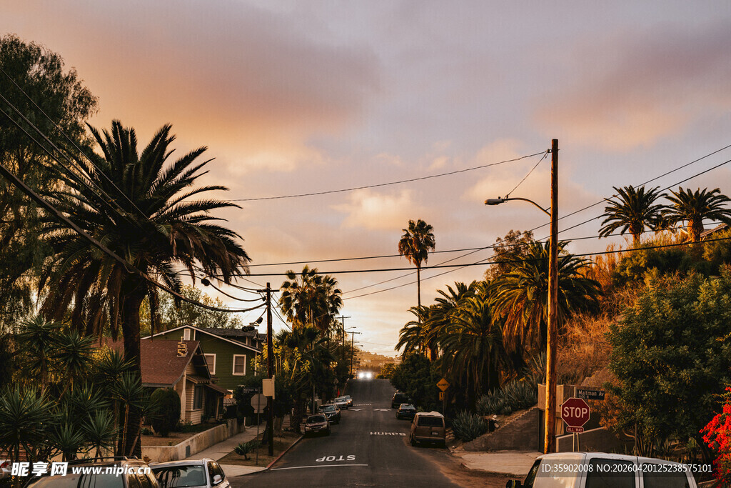 黄昏下的街道与棕榈树