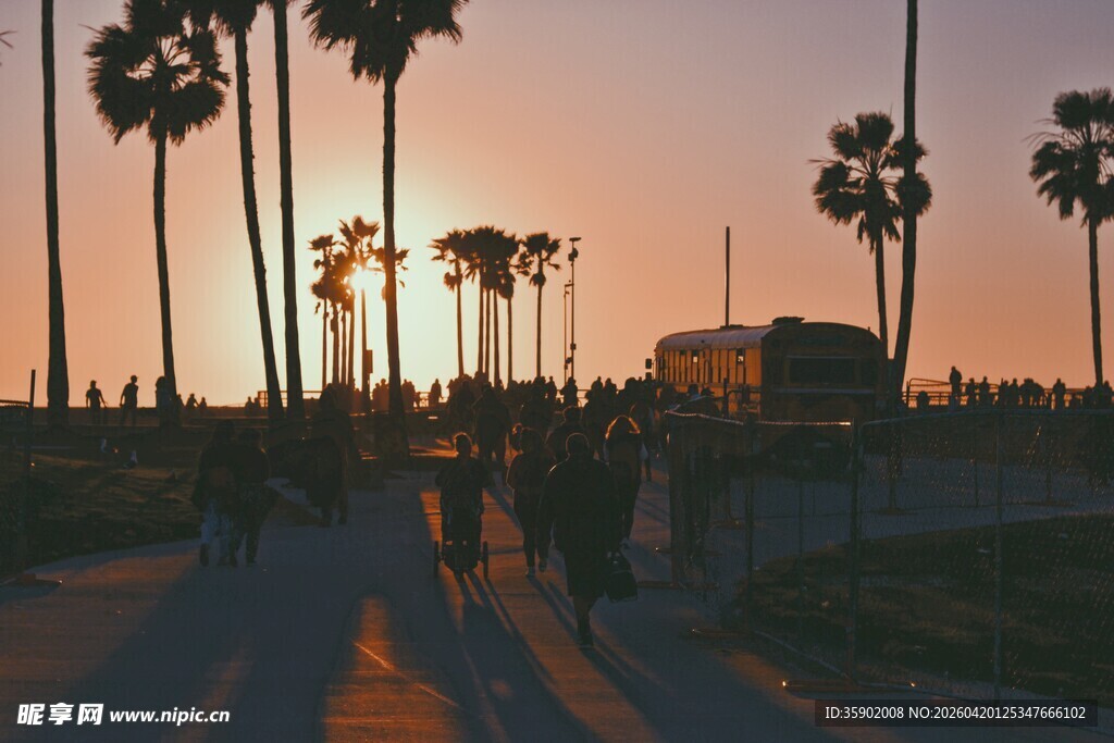 夕阳下的棕榈树海滨步道