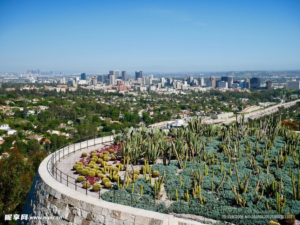 俯瞰城市与绿植景观