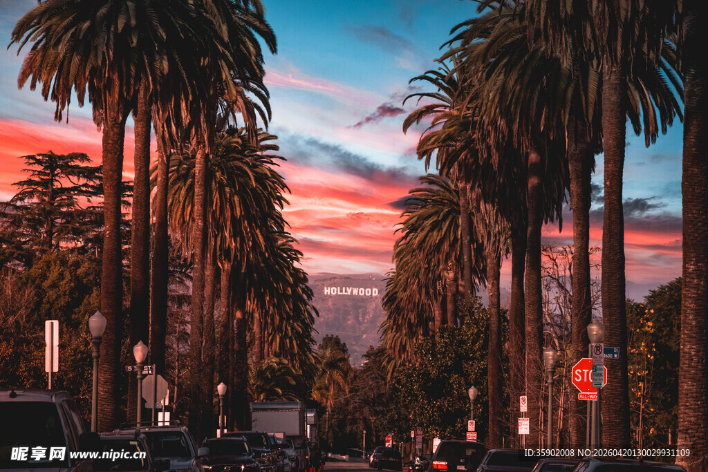 夕阳下的棕榈树街道美景