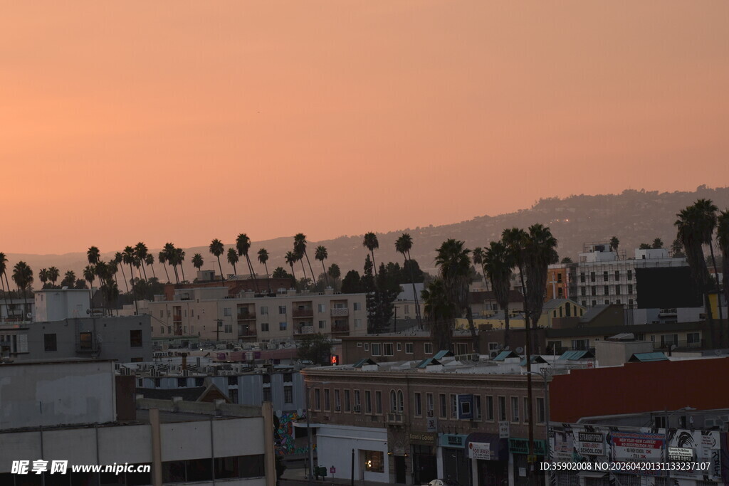 夕阳下的城市与棕榈树景观