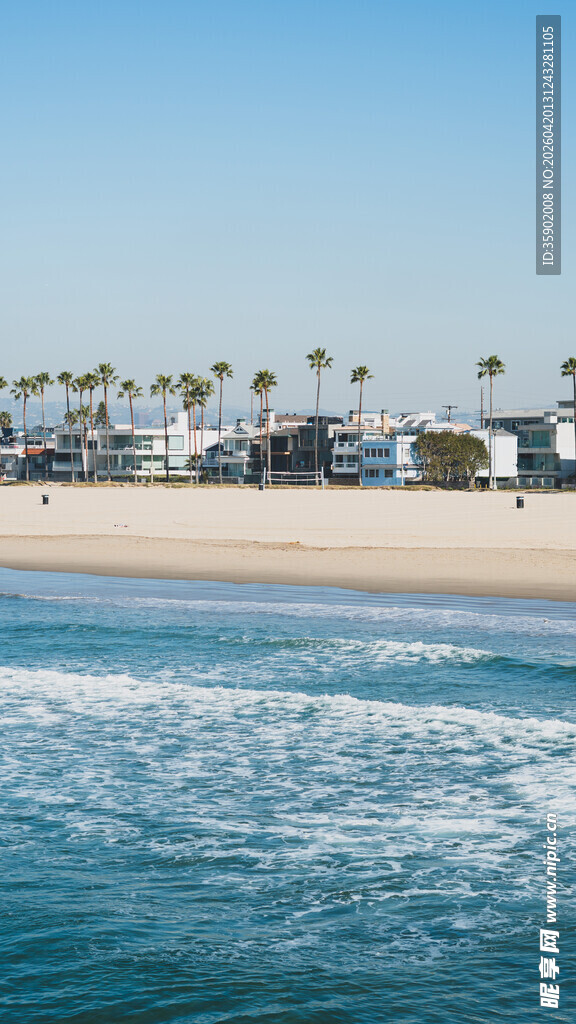 海滨风光海浪与棕榈树