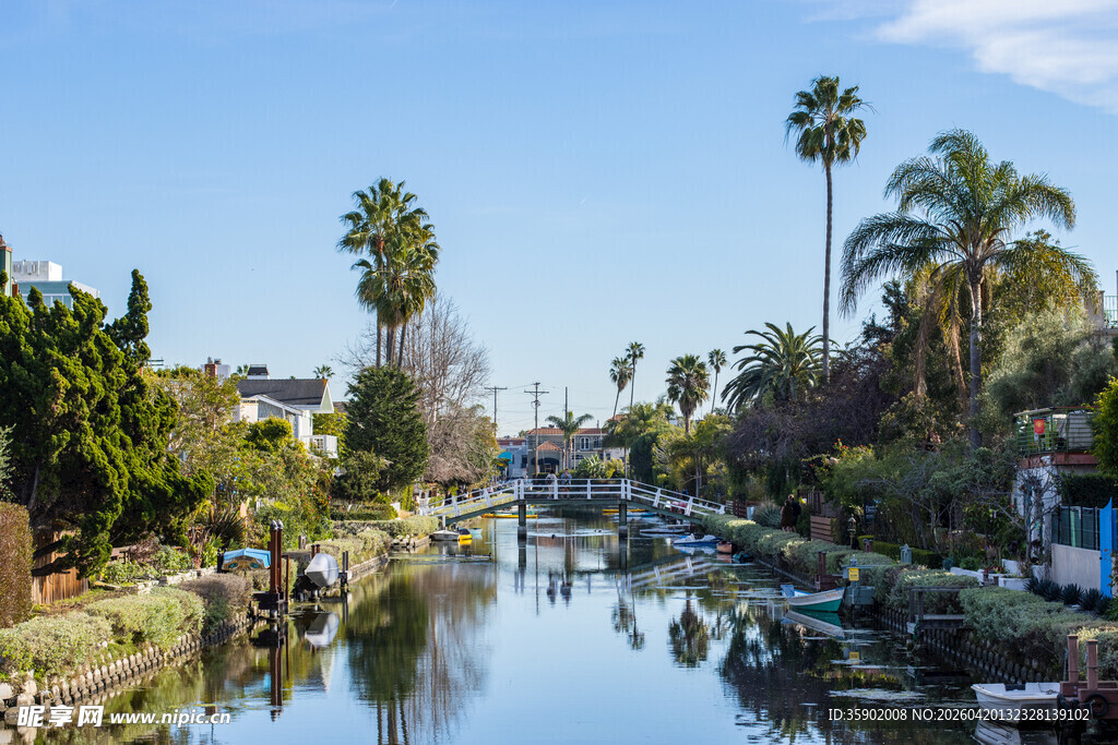 河畔棕榈树环绕的宁静水道