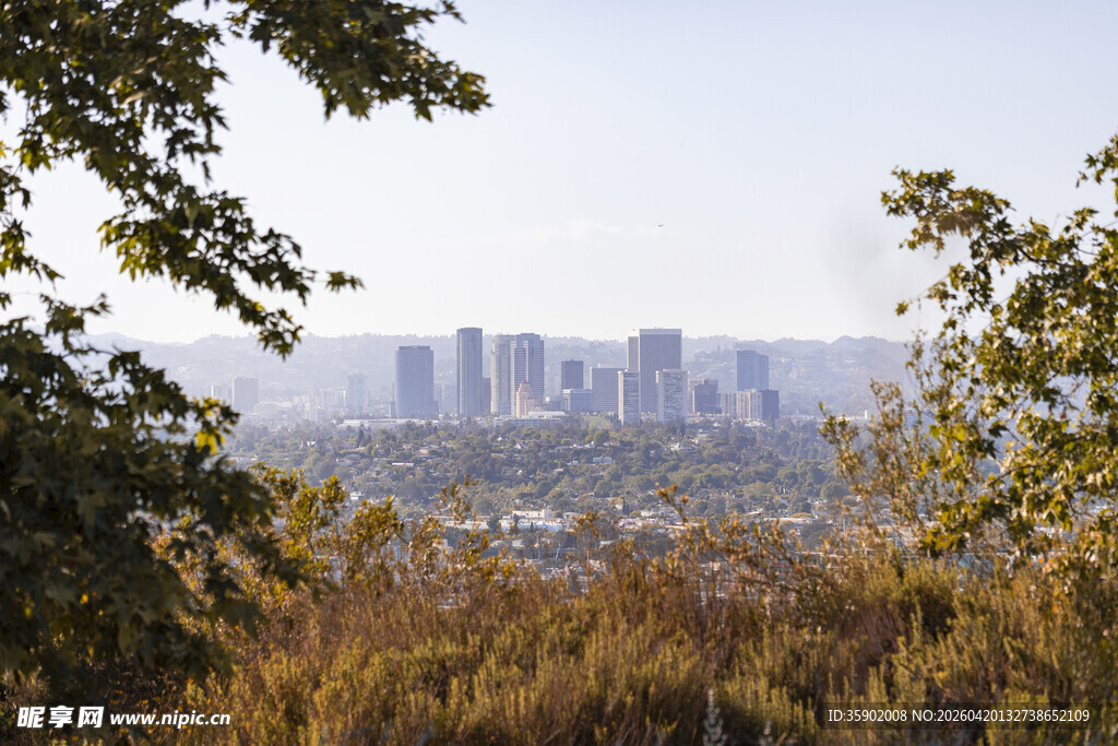 林间远眺城市高楼景观