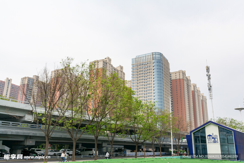 城市街景中的高楼与绿树