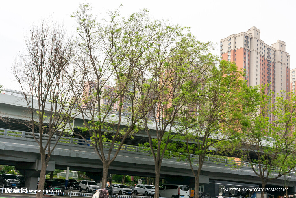 城市高架桥旁的绿树景观