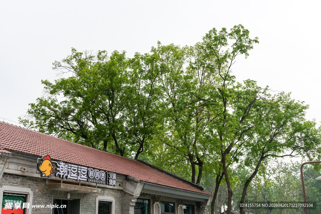 乡村路旁的特色小店