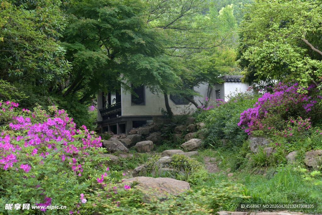 繁花簇拥的静谧林间小屋
