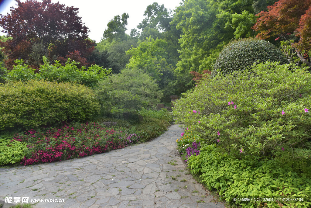 园林小径 绿植环绕美景