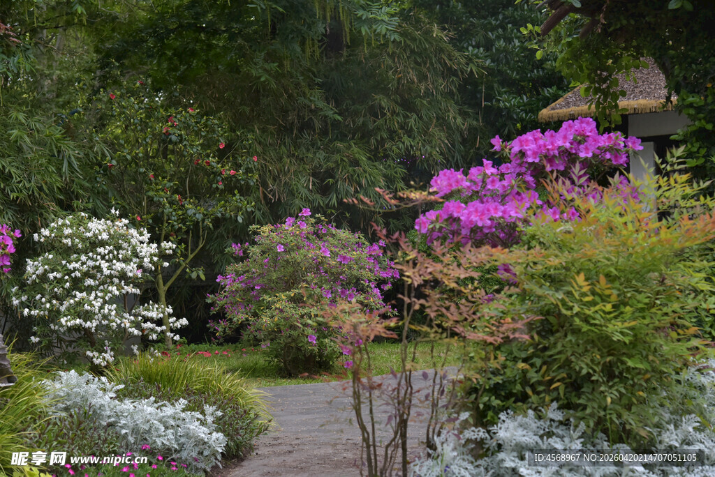 繁花小径 邂逅自然之美