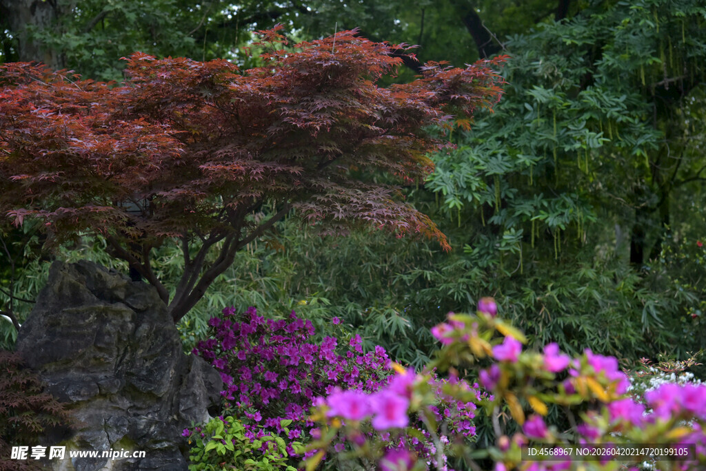 春日繁花似锦的园林景致