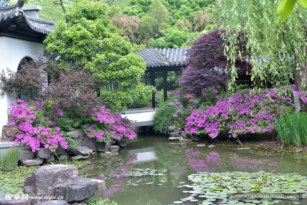 中式园林水景花卉景致