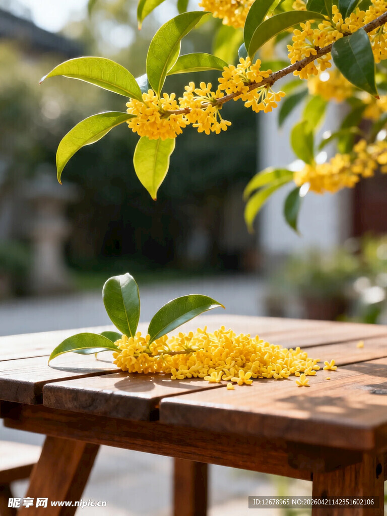 木桌上的金黄桂花与绿叶