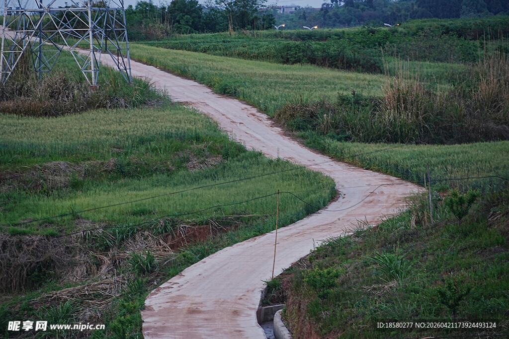 蜿蜒小路穿行于绿野之间