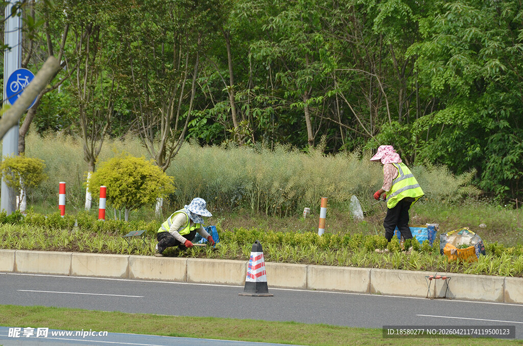 园林工人路边辛勤劳作