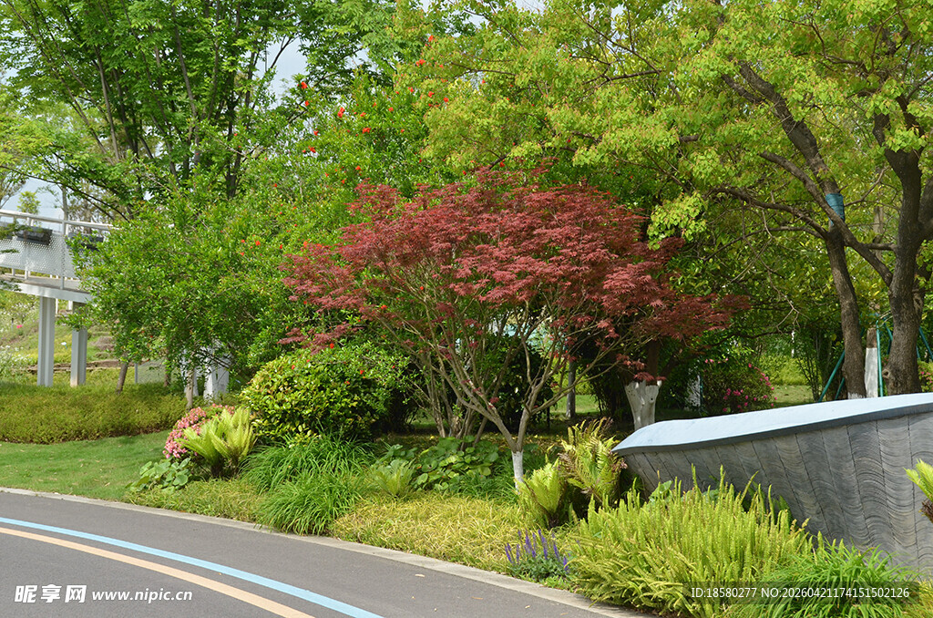 路边多彩绿植景观