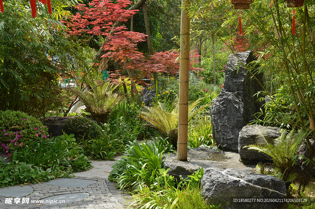 日式庭院景观 绿植与石景