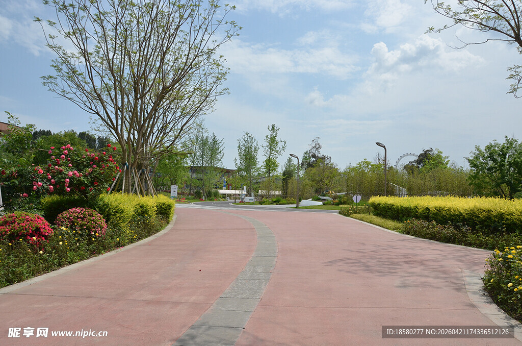 美丽公园中的蜿蜒步道