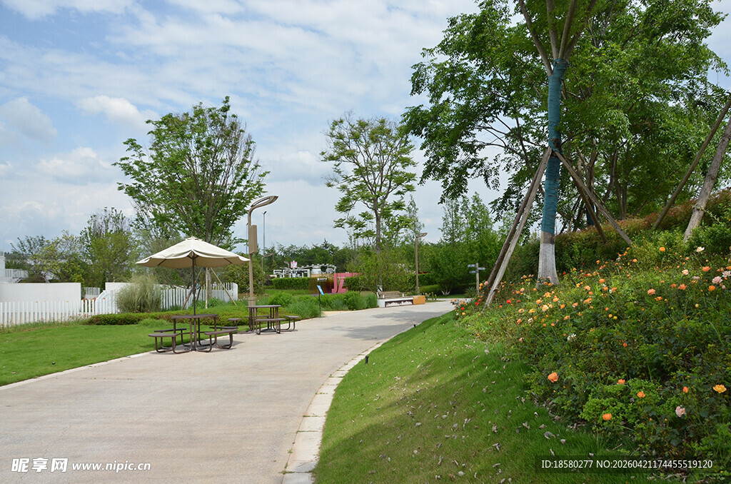 城市中的惬意户外休闲场景