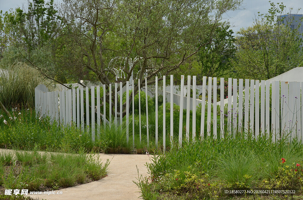 白色栅栏环绕的绿意小径