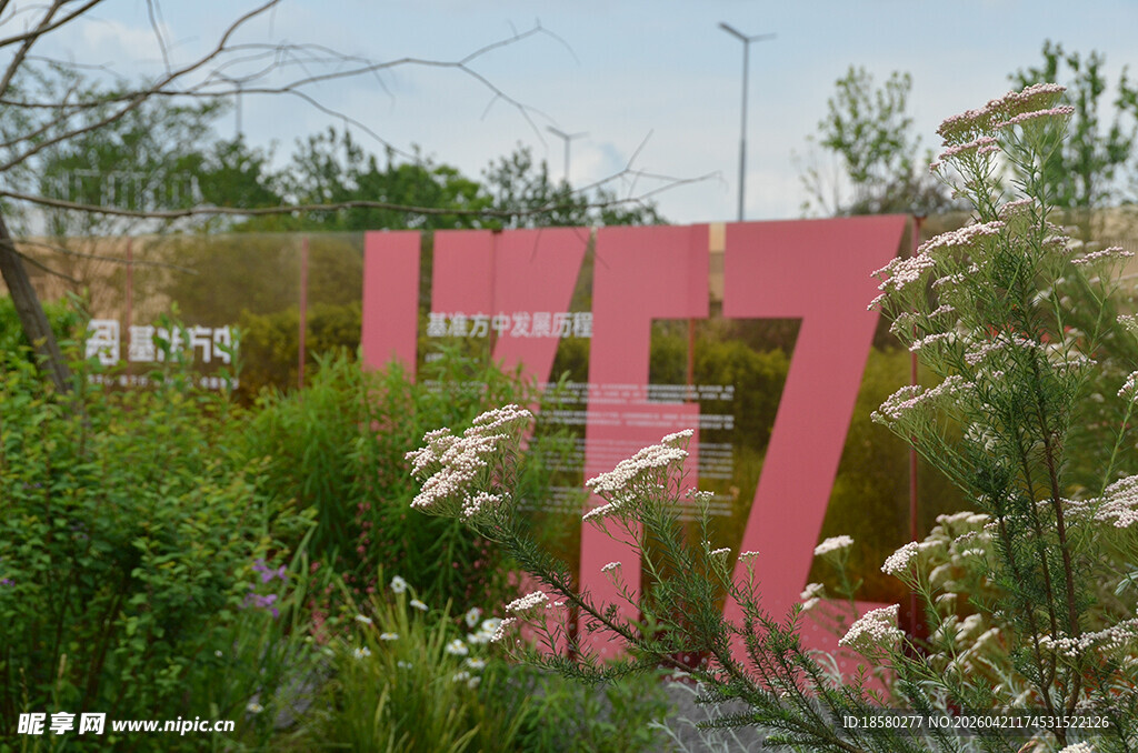 粉色艺术字旁的绿植景观