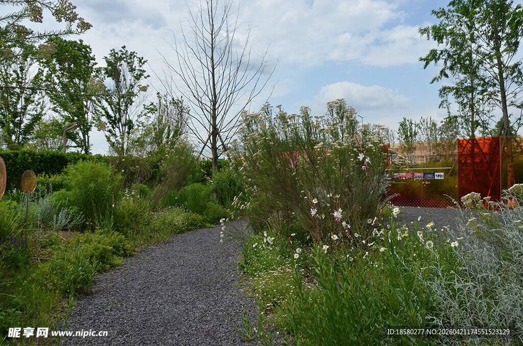 花园中的幽静小径