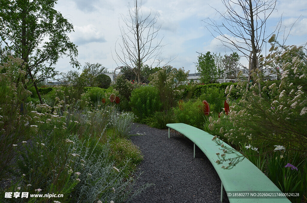 绿意小径旁的自然景观