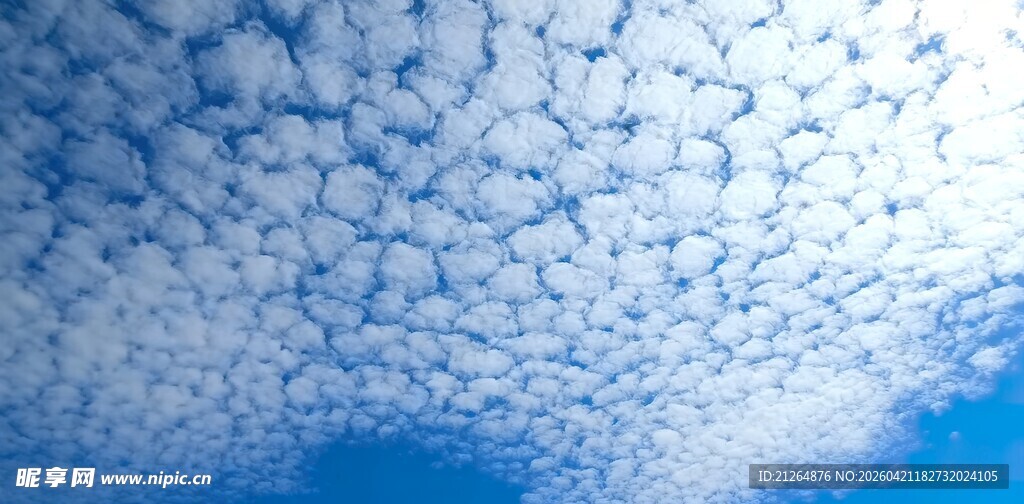 蓝天之上的蓬松云朵