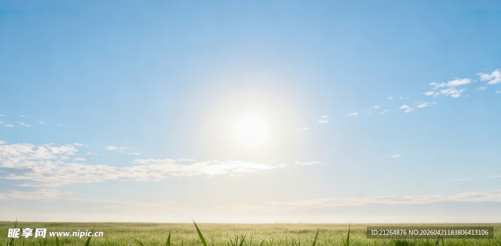 草原上的明媚阳光