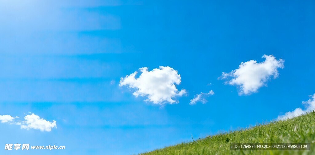 蓝天绿草间的悠然景致