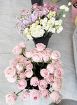 玫瑰花