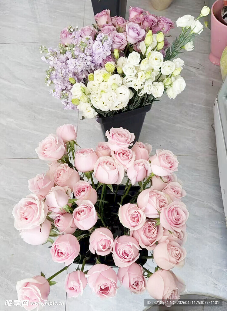 玫瑰花
